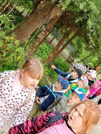 IMG20250514095321