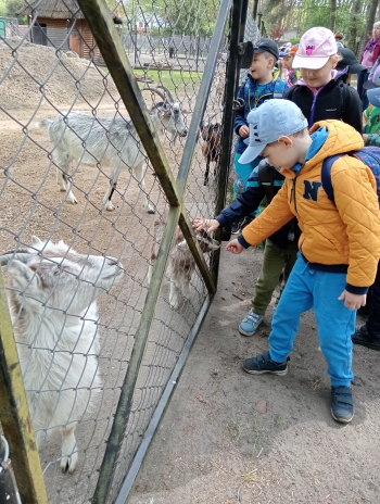IMG20250514100337
