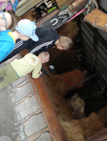 IMG20250514125153