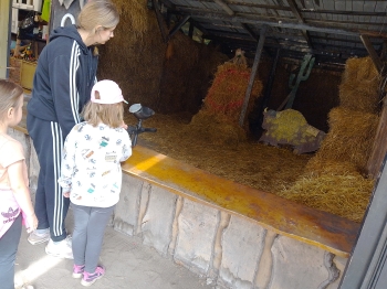 IMG_20250514_131448_HDR