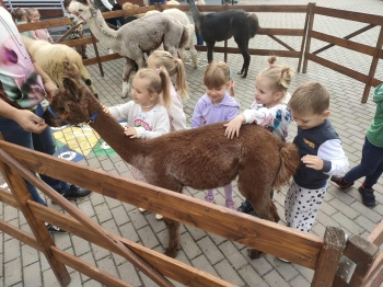 654dcac5-2db8-40f8-9a3c-b6b762b28280.jfif