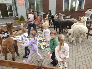 2417c6c8-d64a-4423-bf7b-f360326b600c.jfif