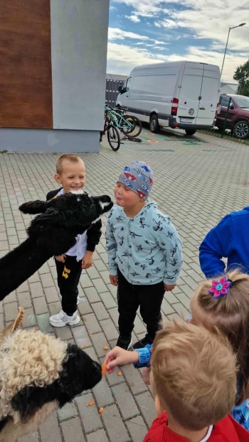 98347ea0-96f0-4e3c-b598-c4f2eb541519