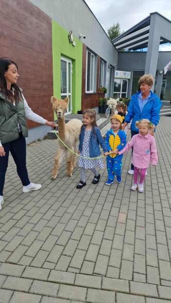 ae353250-fa77-4990-bb90-7ea5de32ce1a