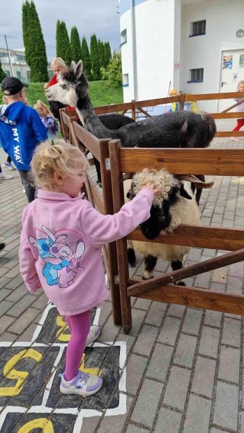 dfb4c440-39b5-4ae4-b43c-d2a56ea43511