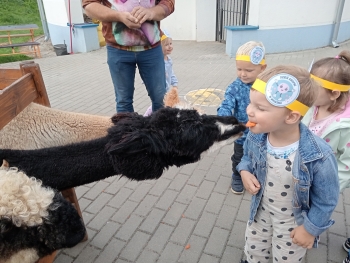 IMG20250915095446_02