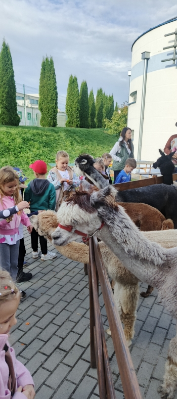 IMG_20250915_081844_408