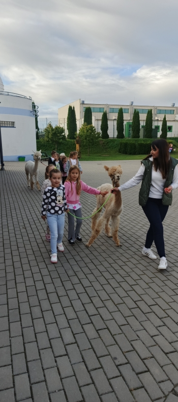 IMG_20250915_083410_270