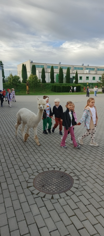 IMG_20250915_083419_156