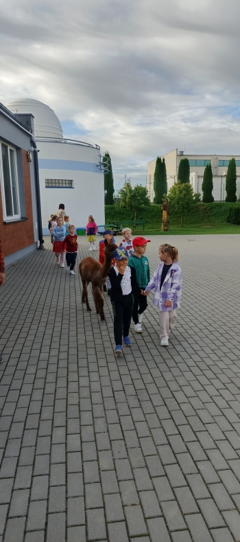 IMG_20250915_083425_148