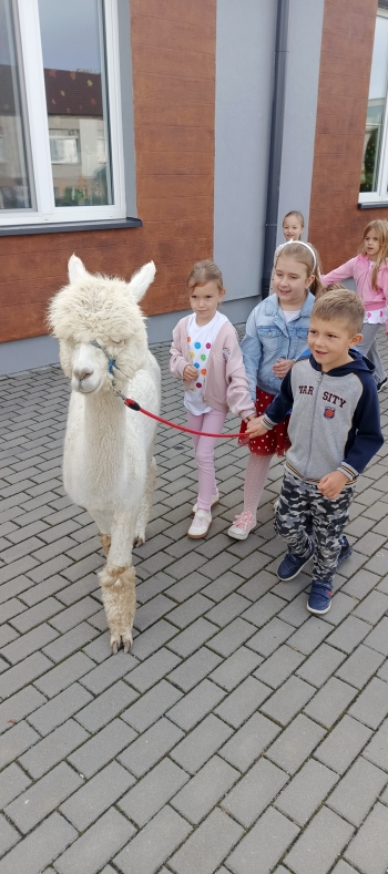 IMG_20250915_083711_629