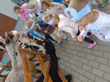 IMG_20250915_113105_HDR