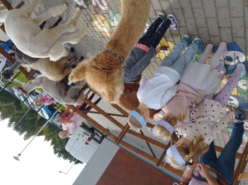 IMG_20250915_113305_HDR