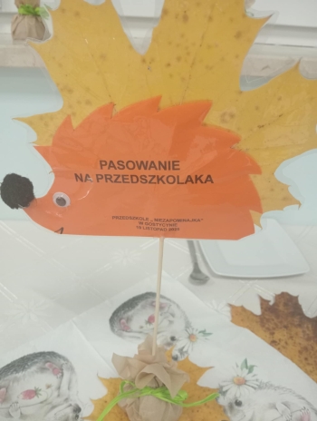 b17d29bf-2acc-4b6f-8fee-c5051b0fd85b