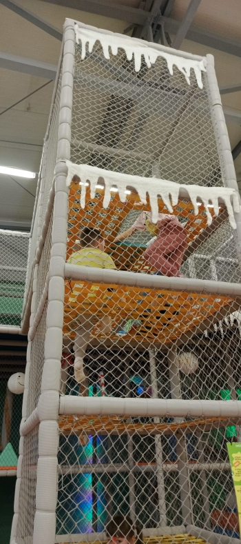 IMG_20251203_105006_528