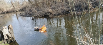 IMG_20260320_095009_932