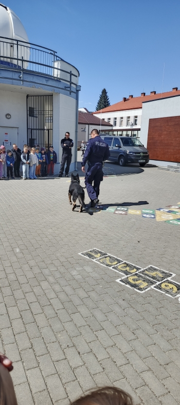 IMG_20260422_131646_288