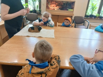 IMG-20260506-WA0019