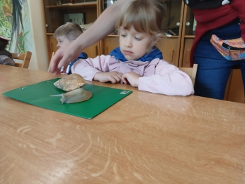 IMG-20260506-WA0041