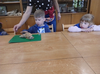 IMG-20260506-WA0040