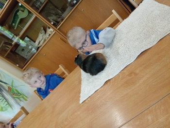 IMG-20260508-WA0009