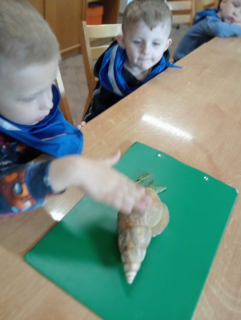 IMG-20260508-WA0013