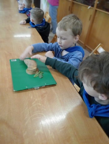 IMG-20260508-WA0014