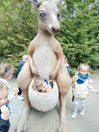 IMG-20260508-WA0015