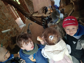 IMG-20260508-WA0019