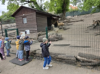 IMG-20260511-WA0034