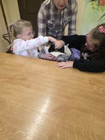 IMG-20260511-WA0066