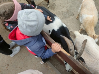 IMG-20260511-WA0127