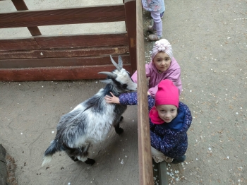 IMG-20260511-WA0128