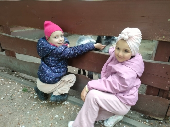 IMG-20260511-WA0129