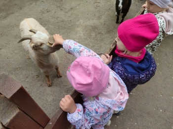 IMG-20260511-WA0130