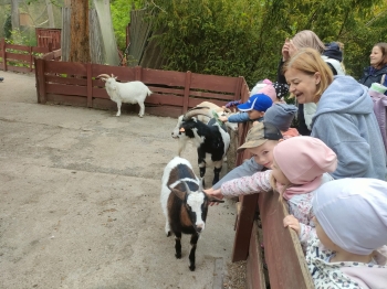 IMG-20260511-WA0131