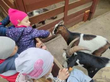 IMG-20260511-WA0136