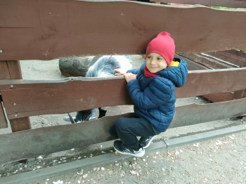 IMG-20260511-WA0137