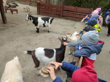IMG-20260511-WA0140