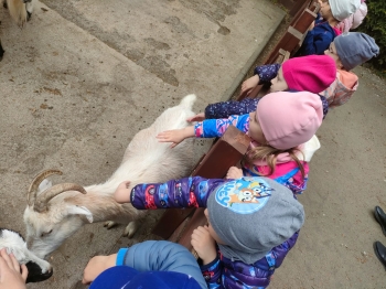 IMG-20260511-WA0141
