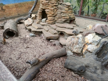 IMG-20260511-WA0142
