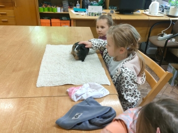 IMG-20260511-WA0192