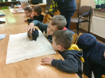 IMG-20260511-WA0194