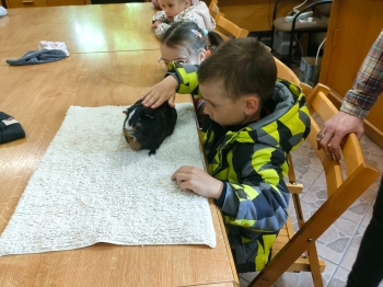 IMG-20260511-WA0193