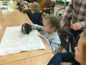 IMG-20260511-WA0196