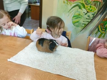 IMG-20260511-WA0200