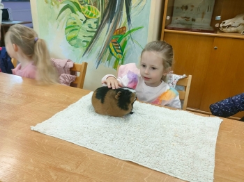IMG-20260511-WA0203