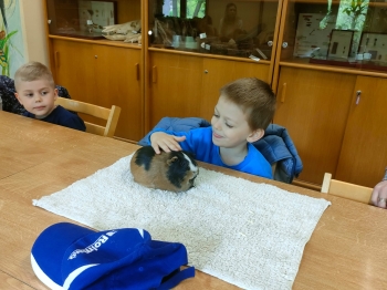 IMG-20260511-WA0206