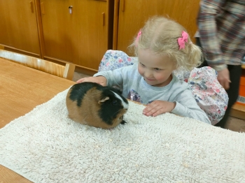 IMG-20260511-WA0207