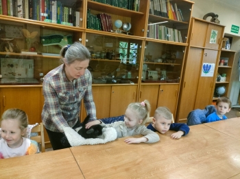IMG-20260511-WA0223